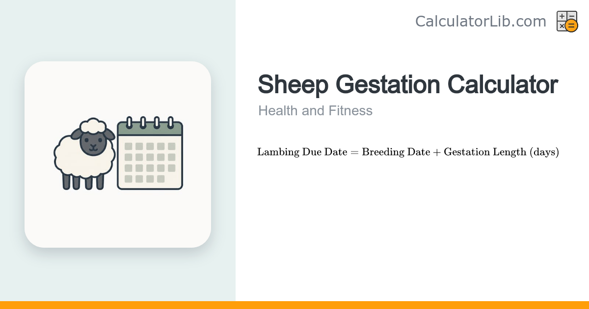 Sheep Gestation Calculator – Lambing Due Date - CalculatorLib
